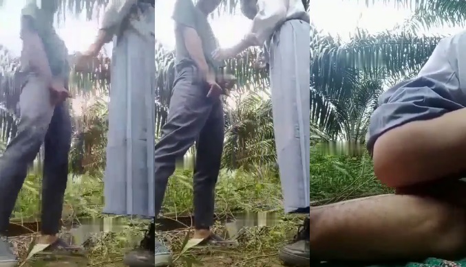 Phim sex Phim sex Indonesia - Cặp Đôi Trẻ Trốn Học Ra Vườn Cọ Làm Tình Nóng Bỏng